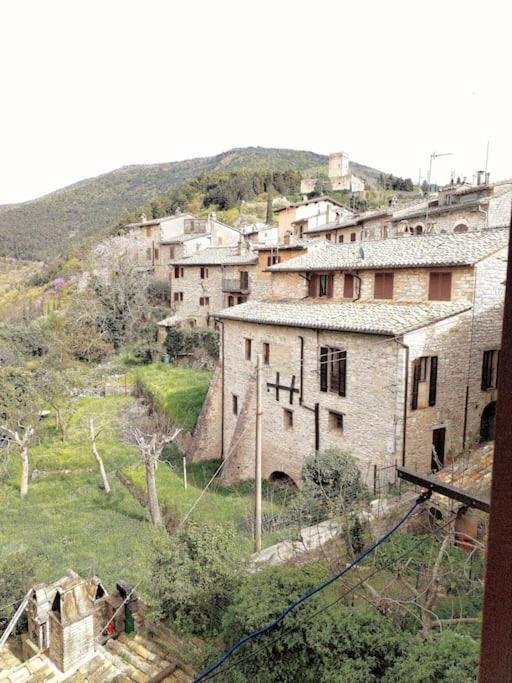 Appartamento Nonna Milde Assisi Dış mekan fotoğraf