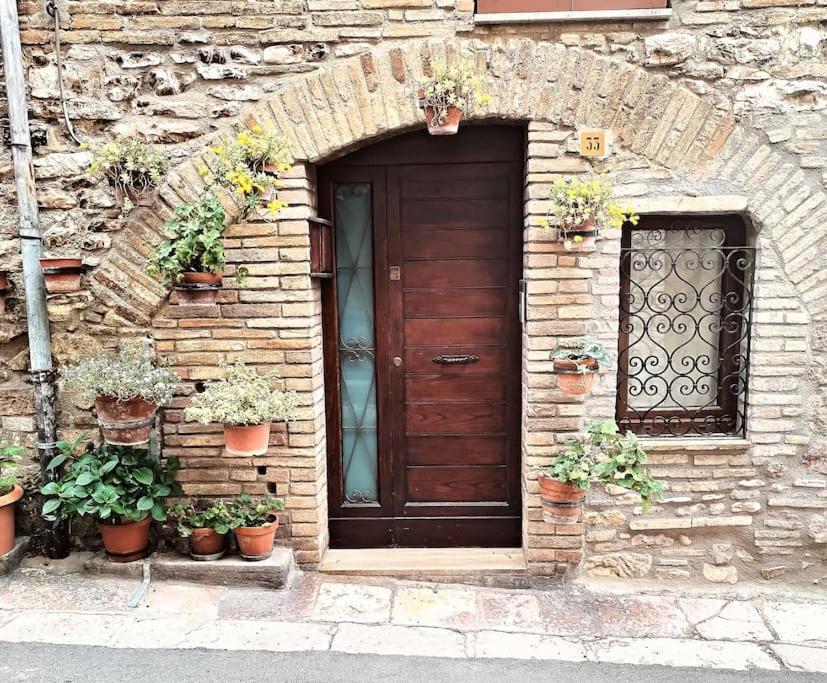 Appartamento Nonna Milde Assisi Dış mekan fotoğraf