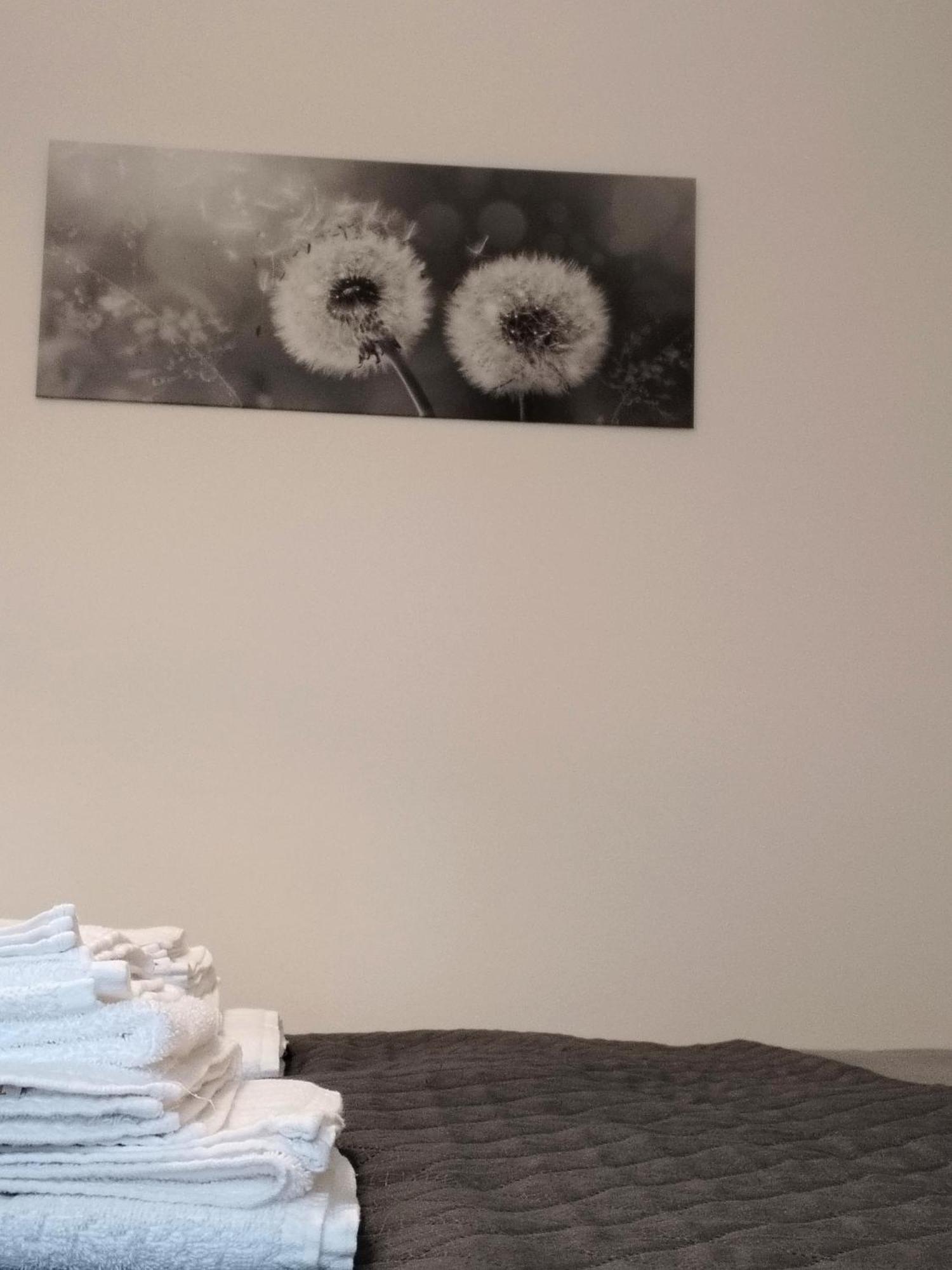 Appartamento Nonna Milde Assisi Dış mekan fotoğraf