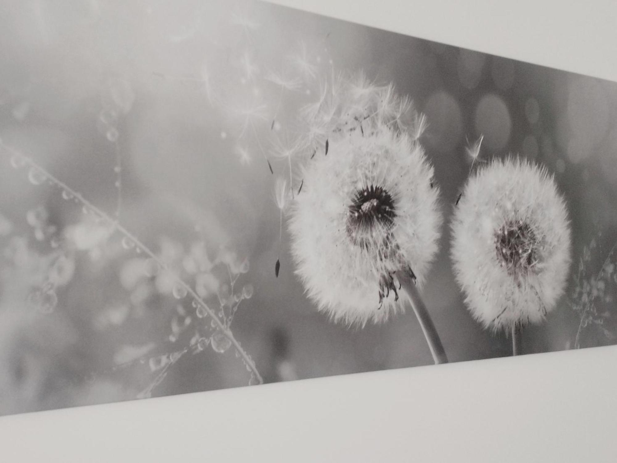 Appartamento Nonna Milde Assisi Dış mekan fotoğraf